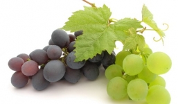 Công dụng chữa bệnh tuyệt vời từ quả nho